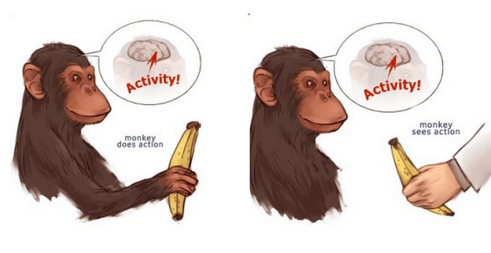 Behaviour cloning